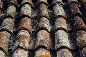Old shingle roof 